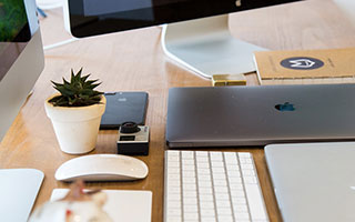 乐鱼体育下载app官网-黄蜂主场翻新计划正式启动，黄蜂主帅